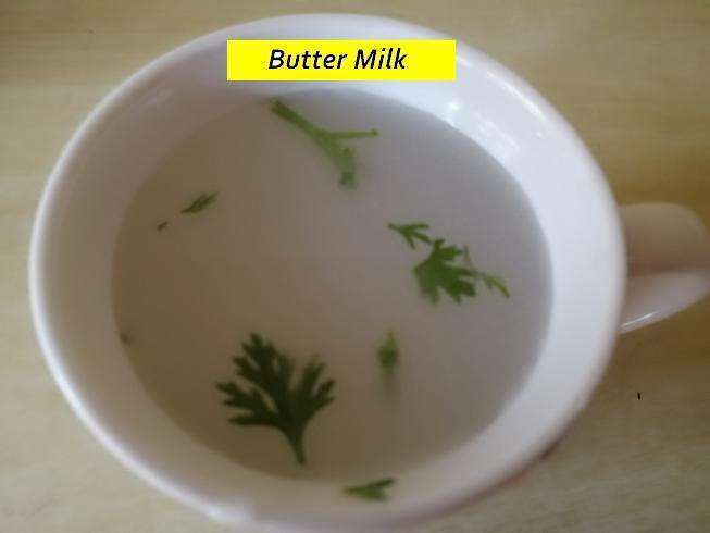 Summer Special Butter Milk