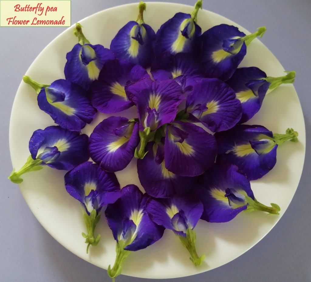 butterfly pea lamonade