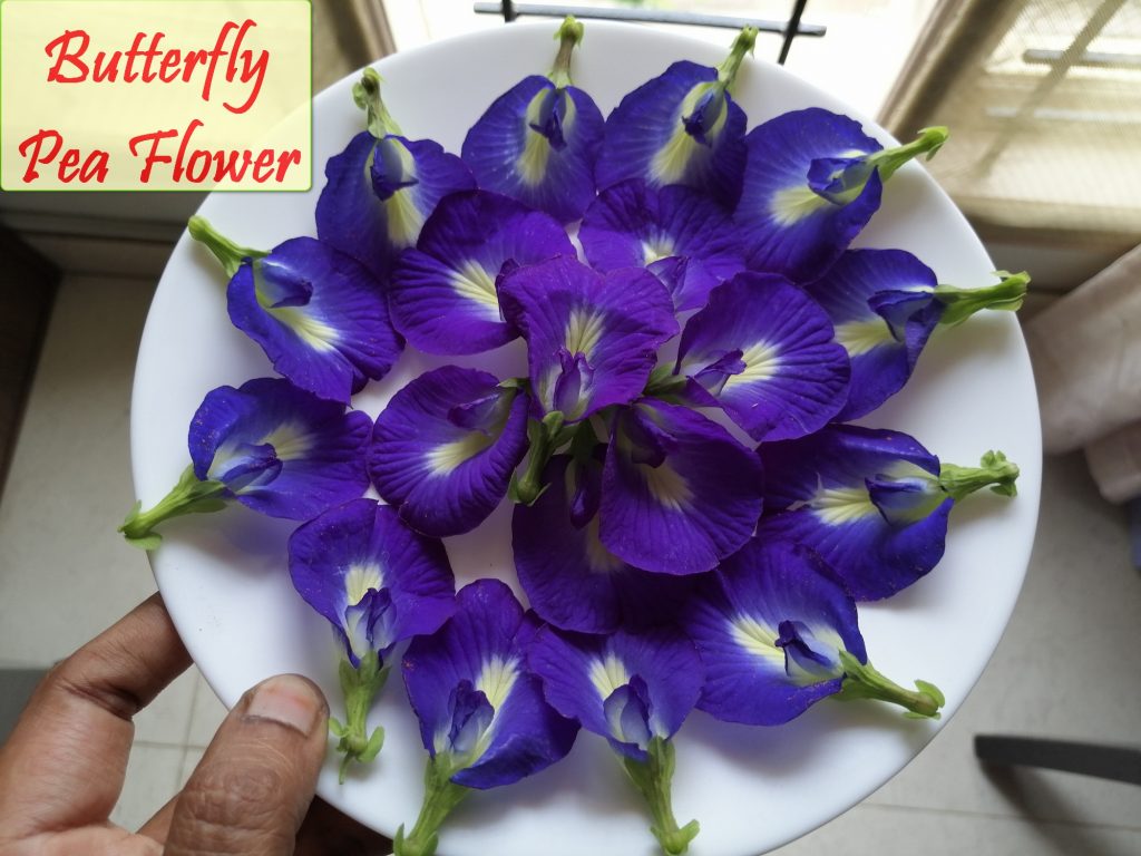 butterfly pea lamonade1