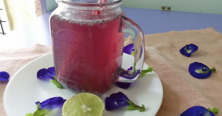 Butterfly Pea Flower Lemonade