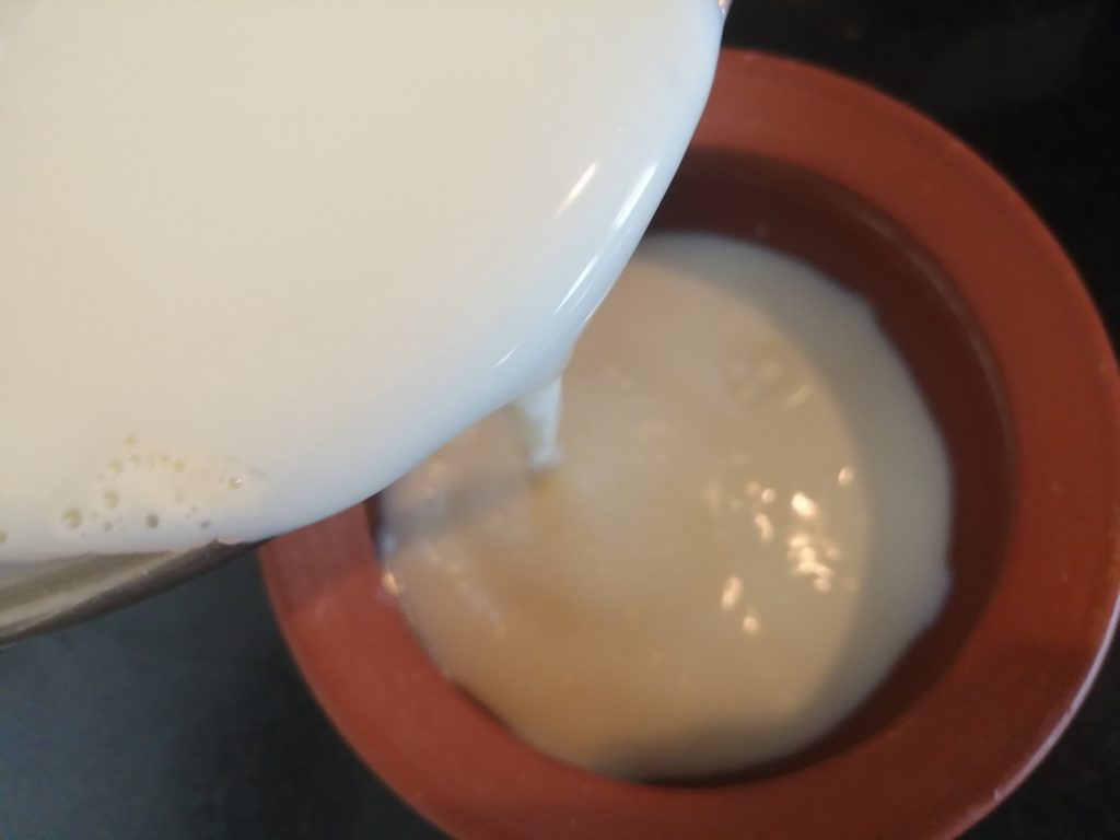 Homemade curd