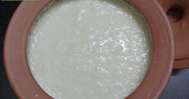 Homemade Curd Recipe or How to make thick curd at home
