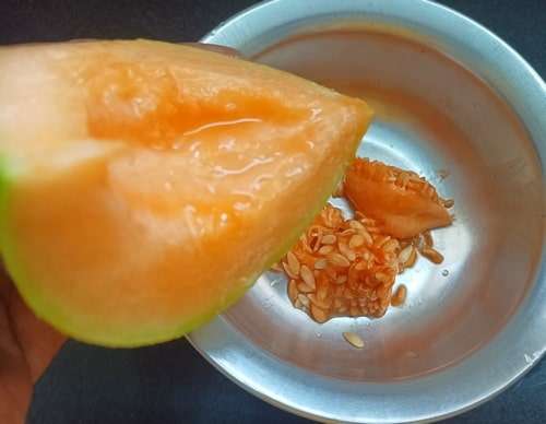 MUSKMELON PANAKAM